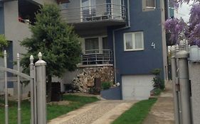 Blue House Apartment